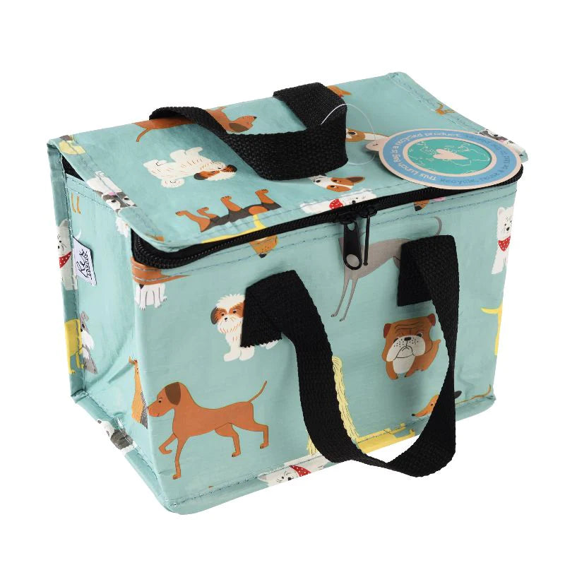 Kids Insulated Lunchbox