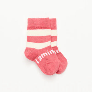 Lamington Primrose  Candy Socks