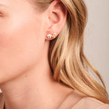 TRIO DAISY  Earrings (Latte)